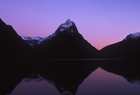 Fiordland 101313.jpg